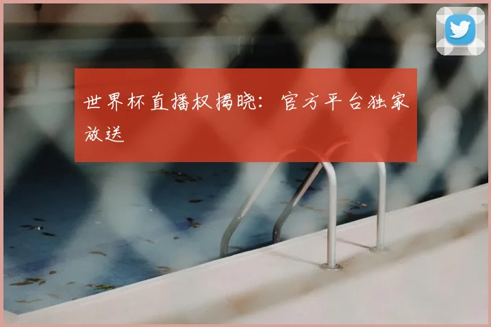 世界杯直播权揭晓：官方平台独家放送