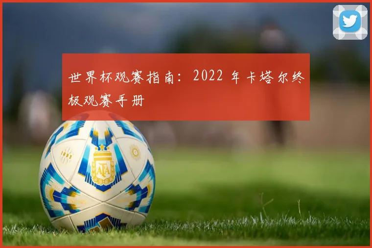 世界杯观赛指南:2022 年卡塔尔终极观赛手册